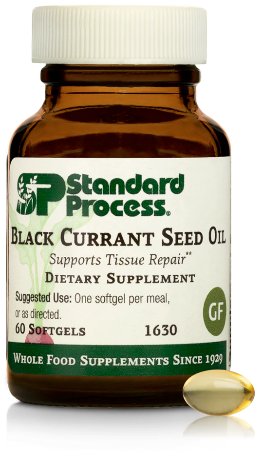 Black Currant Seed Oil 60S