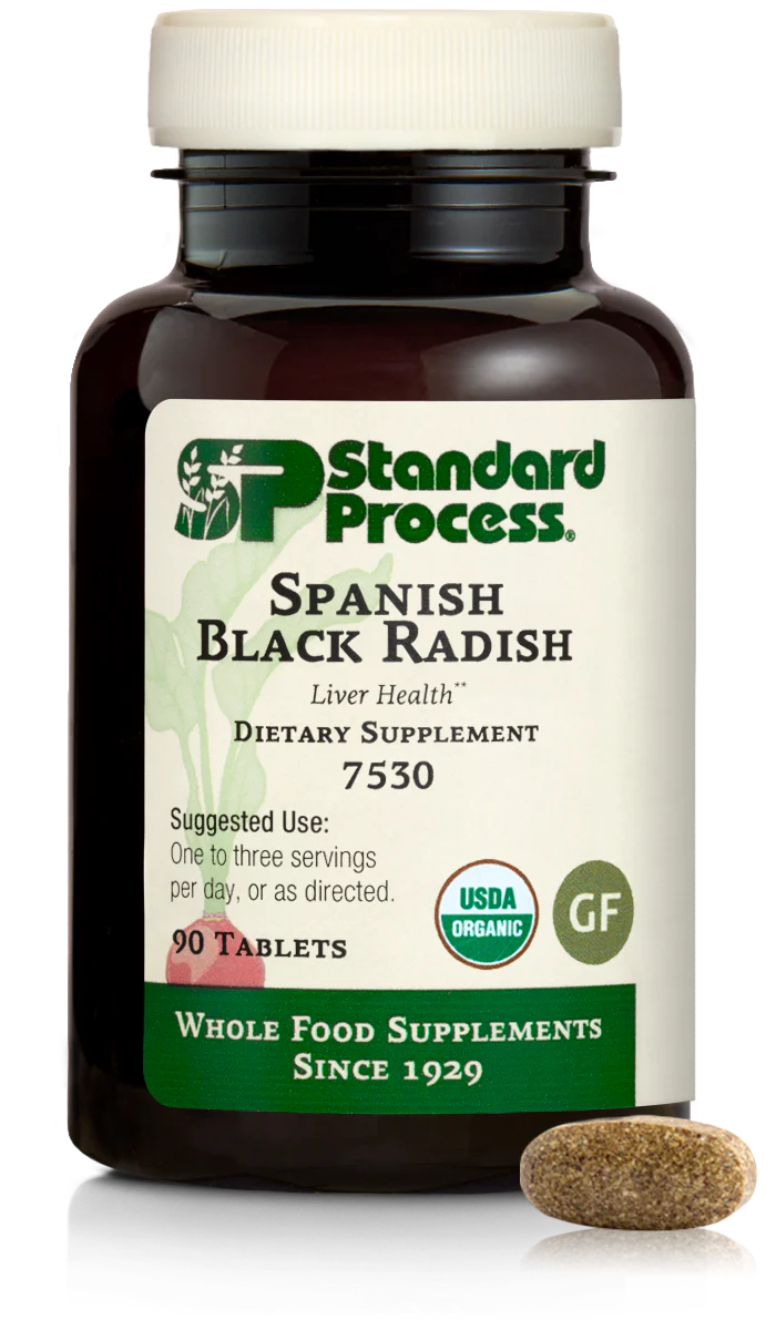Spanish Black Radish 90T