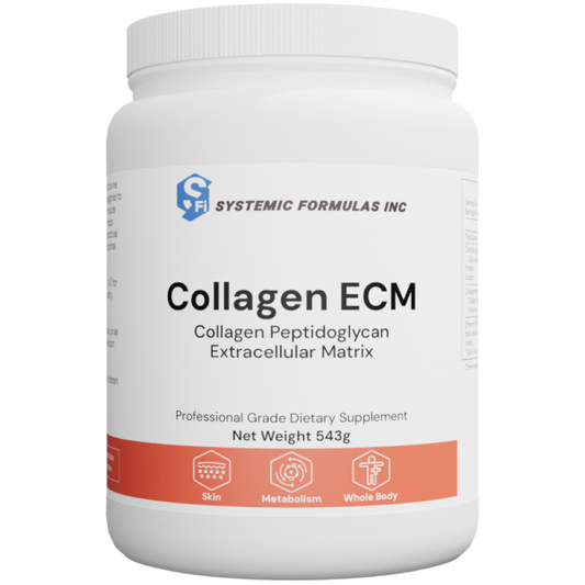 Collagen ECM