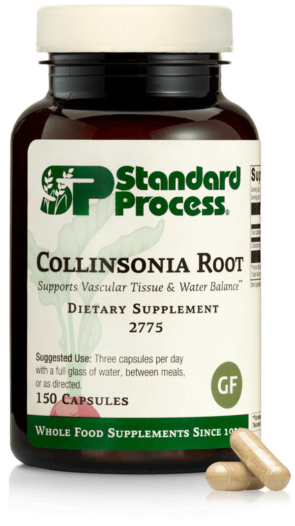 Collinsonia Root, 150C
