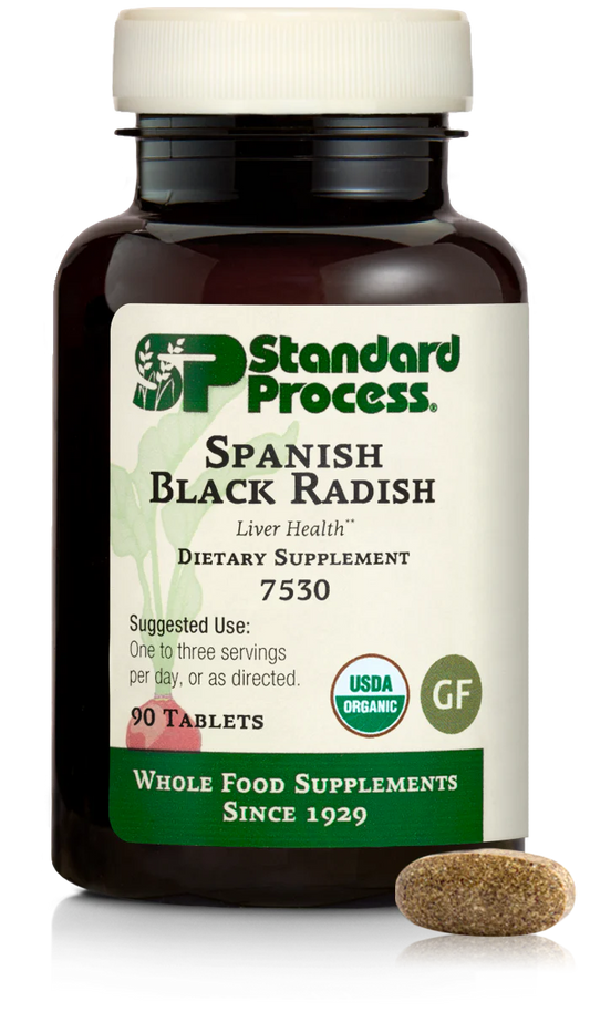 Spanish Black Radish 90T